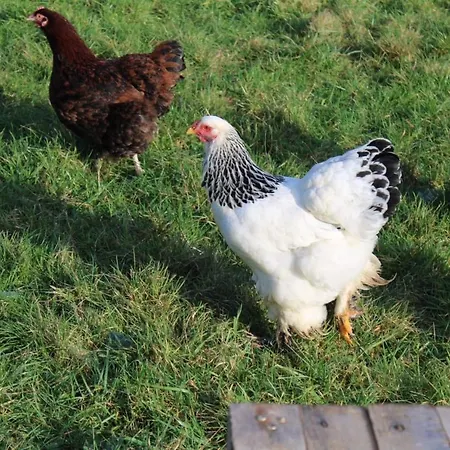 La Chaumiere * Saint-Martin-Saint-Firmin